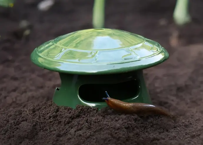Piège à bière pour limaces et escargots a enterrer en forme de champignon original