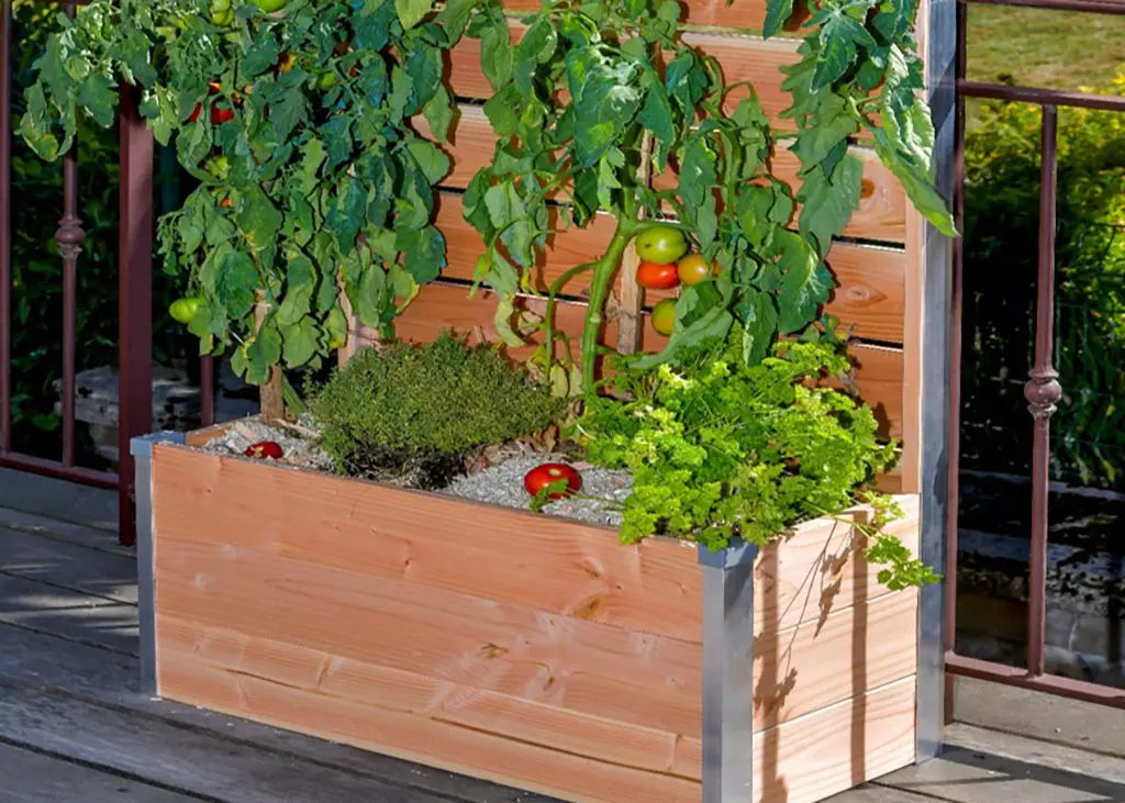 bac-potager-en-bois-avec-treillis