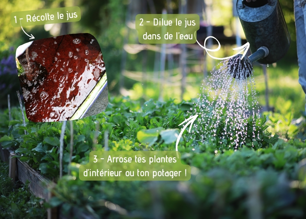 lommbricomposteur-utilisation