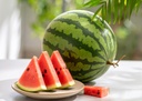 pasteque-crimson-sweet-bio