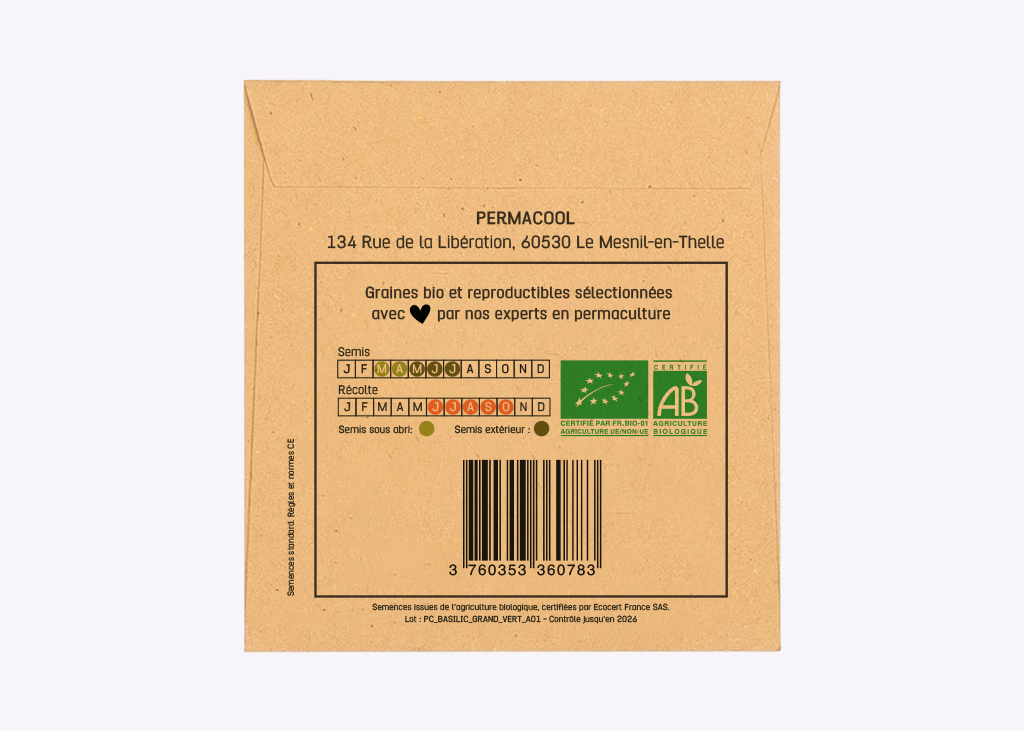 basilic-grand-vert-genovese