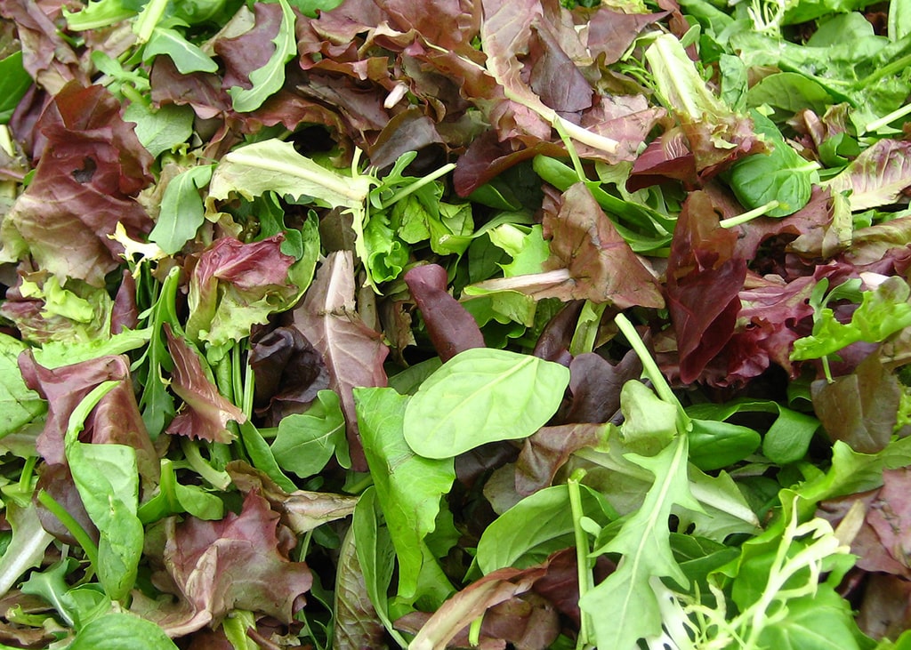 mesclun-cretois-bio