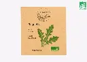 Roquette cultivée AB - DL