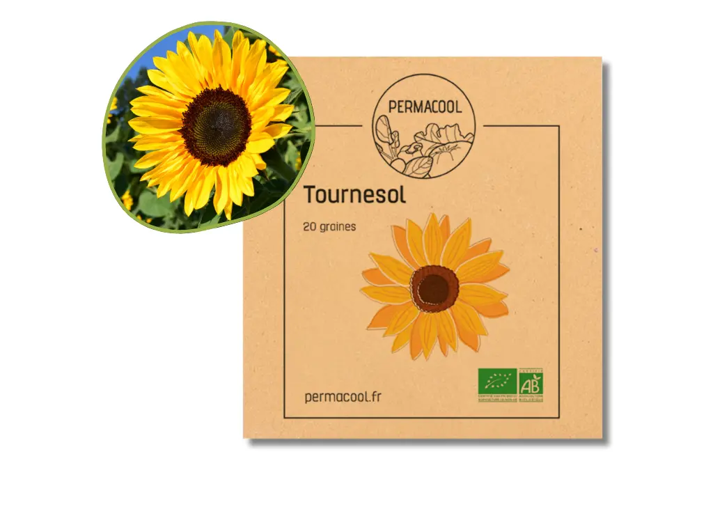 Tournesol AB