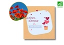 Sachets de graines pour baptême