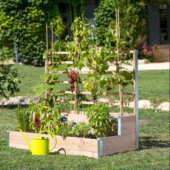 Carré potager avec treillis