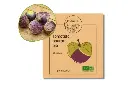 Tomatillo pourpre AB