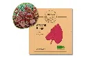 Arroche rouge AB