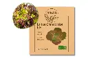 Laitue batavia grenobloise AB