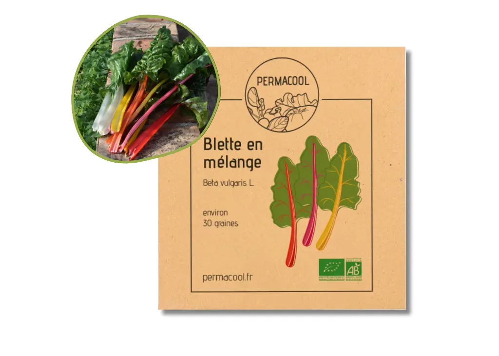 Blette carde en mélange AB
