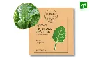 Épinard monstrueux de Viroflay NT