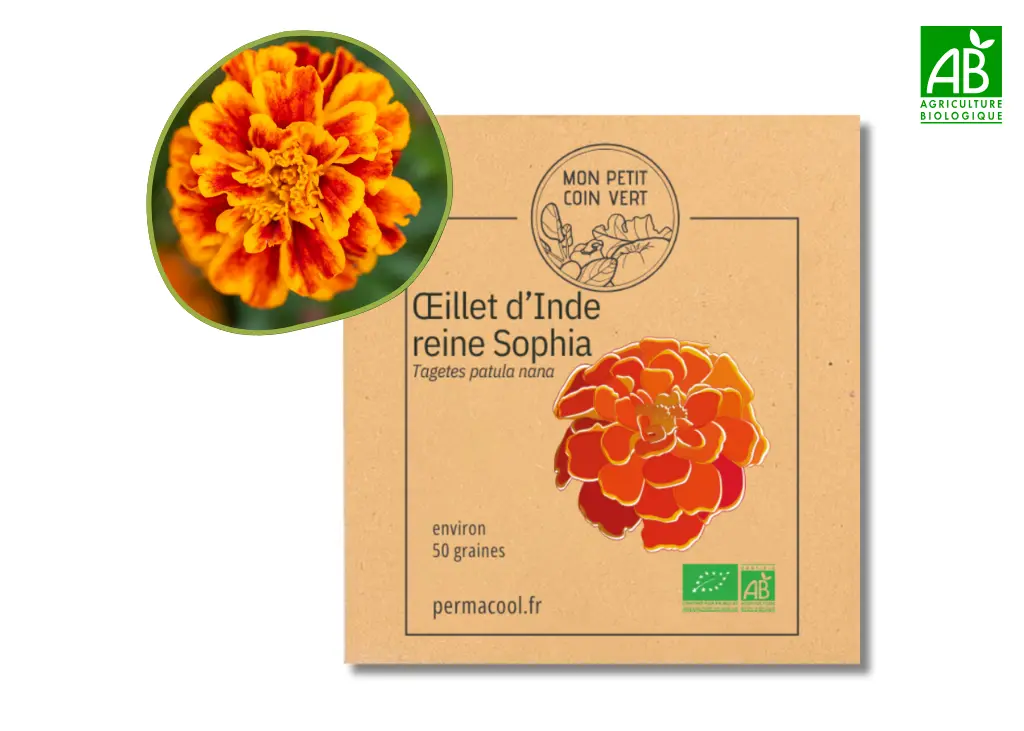 Oeillet d'Inde reine Sophie AB