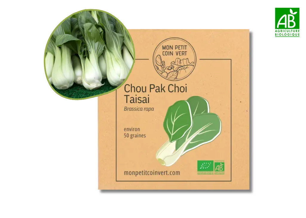 Chou Pak Choi Taisai AB