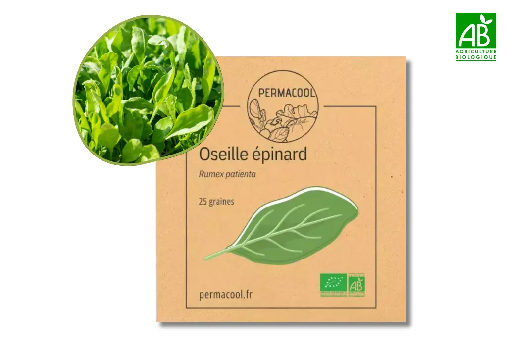 Oseille épinard AB