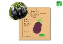 Aubergine Black Beauty AB