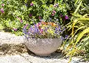Vasque de jardin - Médium