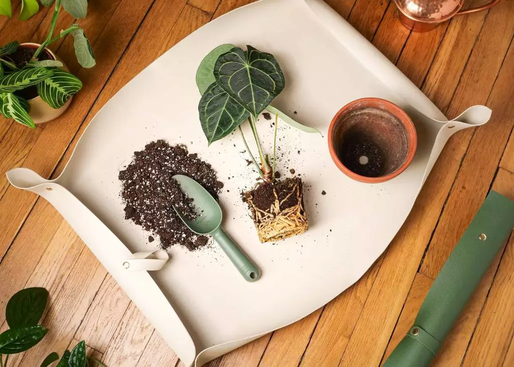 Tapis de rempotage de plantes