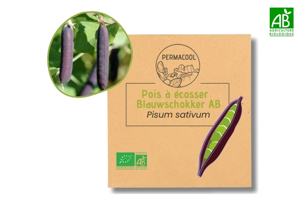 Pois à rames Blauwschokker AB