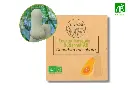 Courge musquée Butternut AB