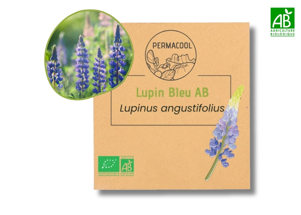 Lupin Bleu AB