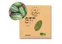 Concombre mini zehneria scabra AB DL