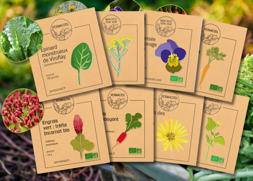 Lot de graines potagères anti-gaspi - Spécial automne