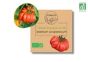 Tomate Brandywine AB