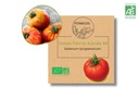 Tomate Potiron écarlate AB