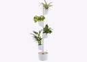Jardinière verticale 3 ou 4 pots avec plantes dépolluantes