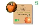 Courge Jack'O Lantern AB