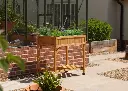 Carré potager en bois surélevé VegTrug pour herbes aromatiques