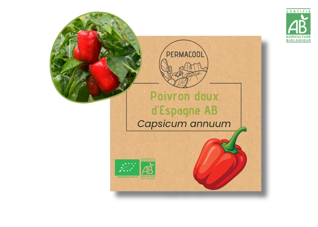 Poivron doux d'Espagne AB
