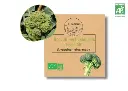 Brocoli vert calabrais hatif AB