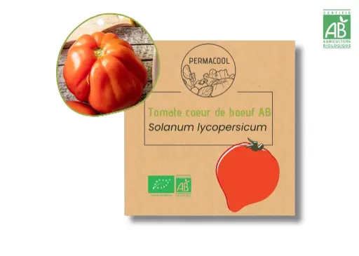 [PC-208] Tomate coeur de boeuf AB