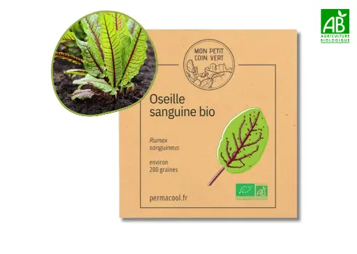 [PC-484DL] Oseille sanguine AB DL