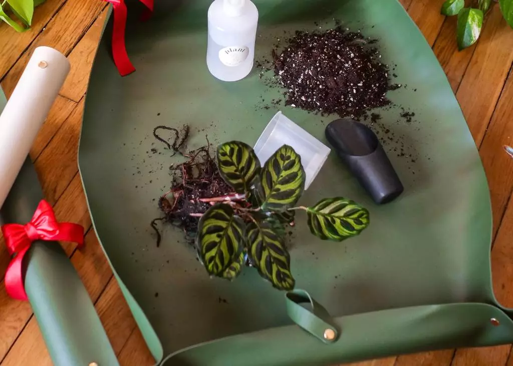 [PC-688] Tapis de rempotage de plantes