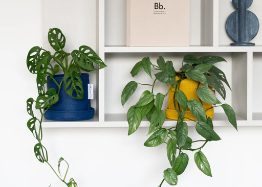 Pot en toile respirante - 15Ø