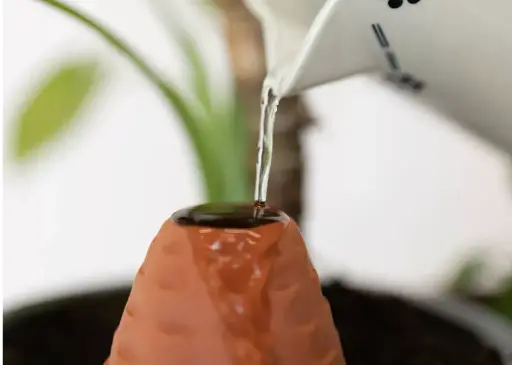 [PC-768] Olla en terre cuite