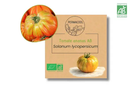 [PC-1080] Tomate ananas AB