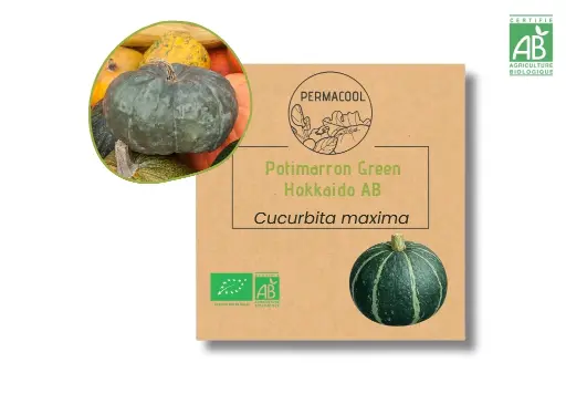[PC-1084] Potimarron Green hokkaido AB