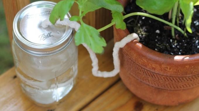 astuce_arrosage_vacances