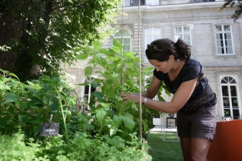 Coralie a co-créé le potager d’un chef en ville 