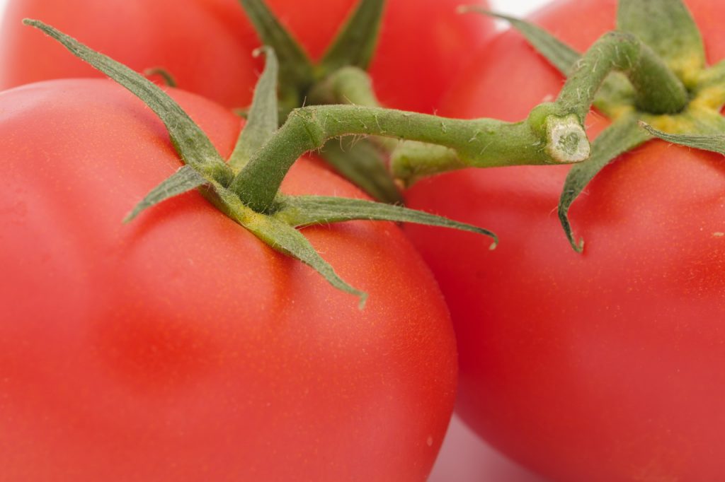 tomates