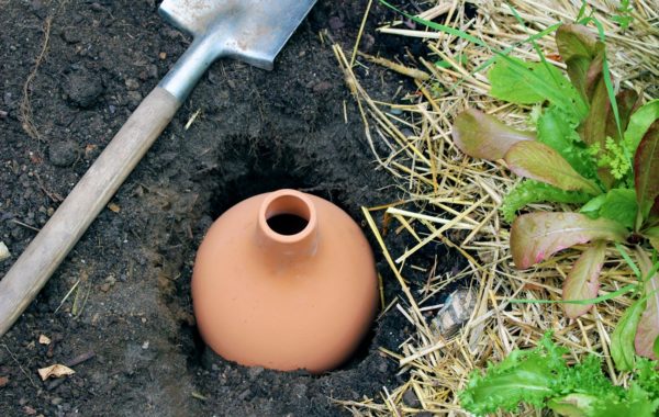 Oyas artisanal pour arroser ses plantes