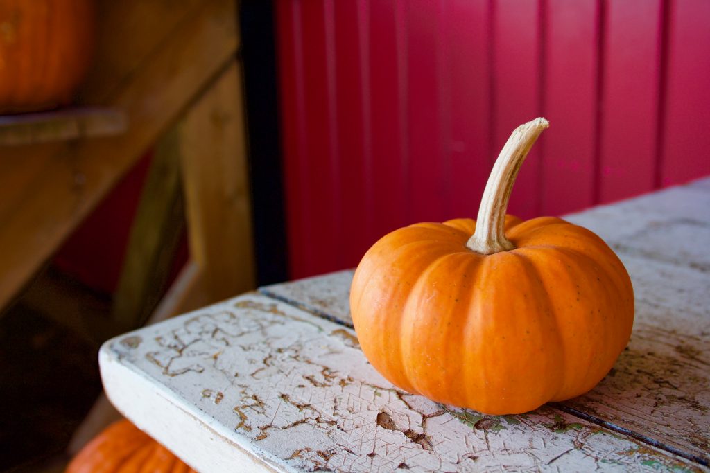 Comment conservez la courge ?