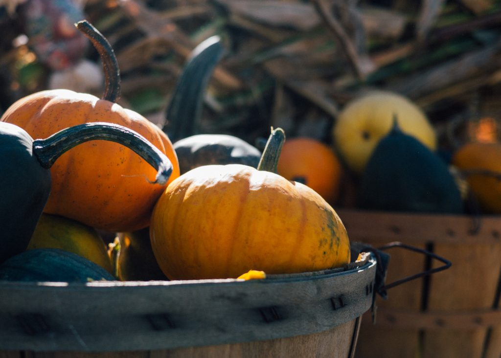 Comment différencier les courges ?