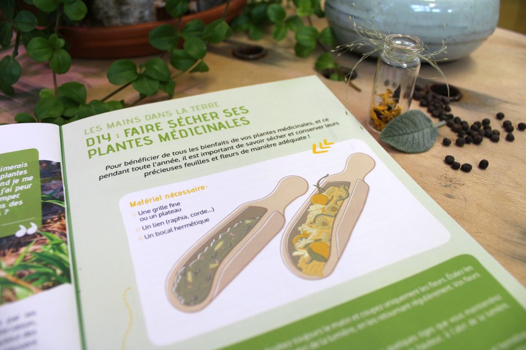 Comment faire sécher ses plantes médicinales ?
