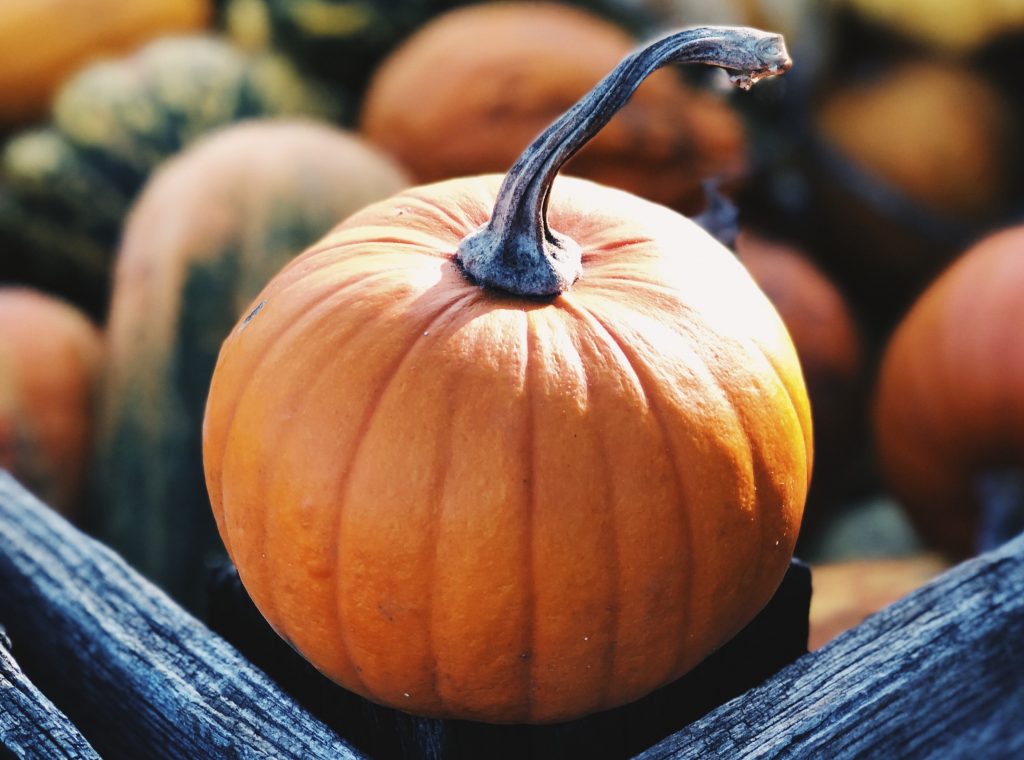 Comment cuisiner la courge ?