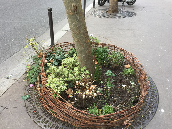 Potager_pollution