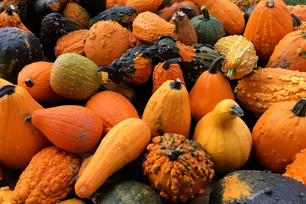 Courges